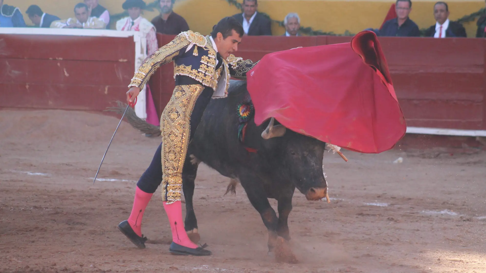 TOROS (1)